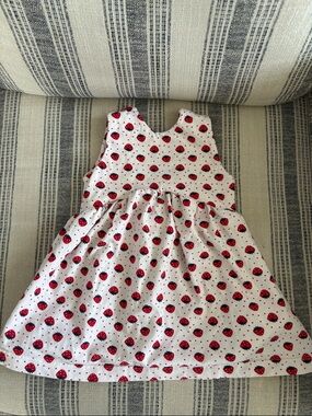 Macy Kate boutique strawberry tunic